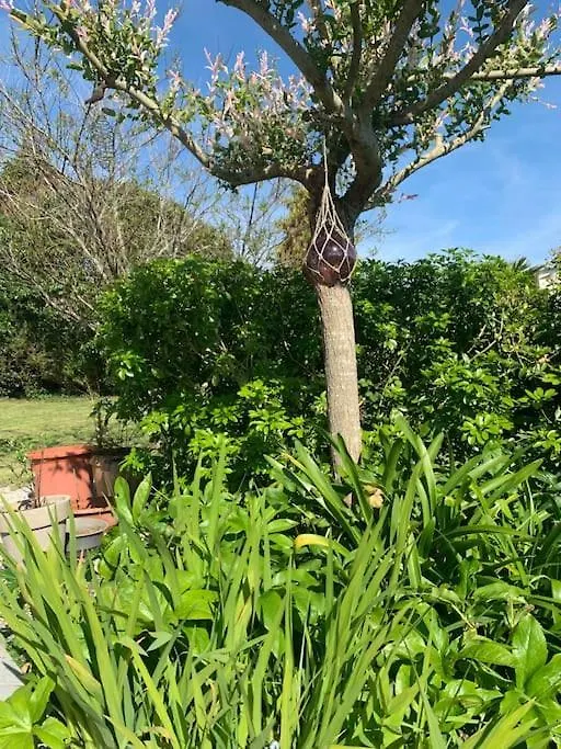 Fileovent Villa Combrit Holiday home